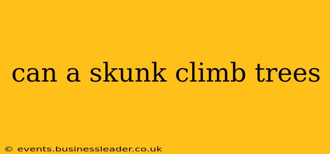 can a skunk climb trees