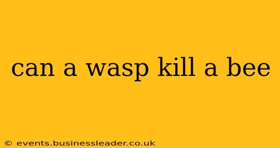 can a wasp kill a bee
