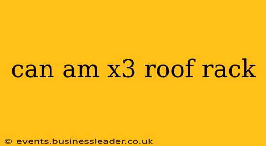 can am x3 roof rack