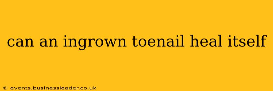 can an ingrown toenail heal itself
