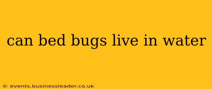 can bed bugs live in water