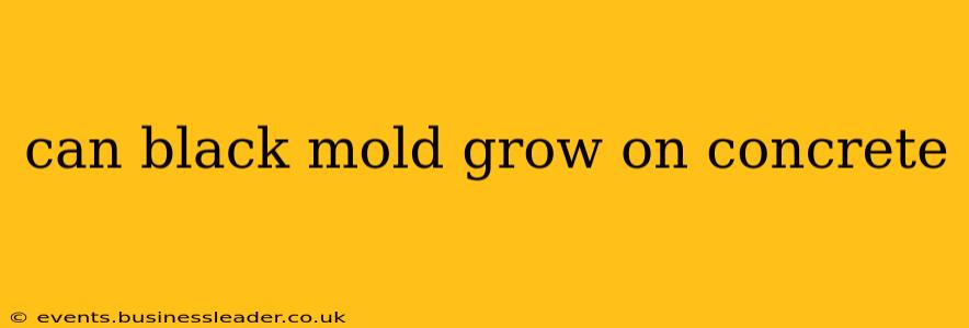 can black mold grow on concrete