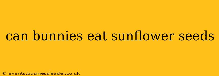 can bunnies eat sunflower seeds