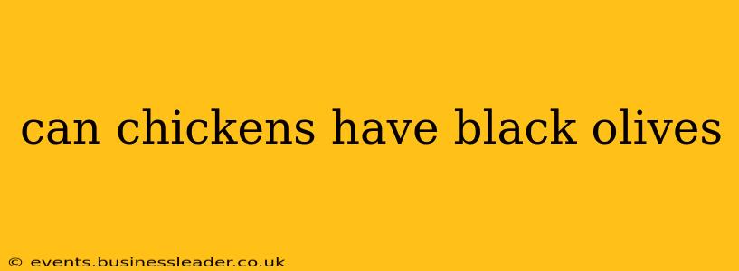 can chickens have black olives