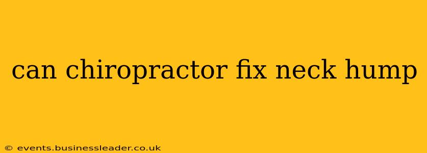 can chiropractor fix neck hump