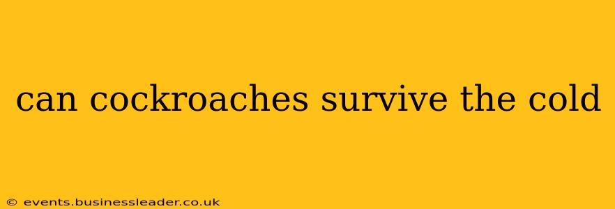 can cockroaches survive the cold