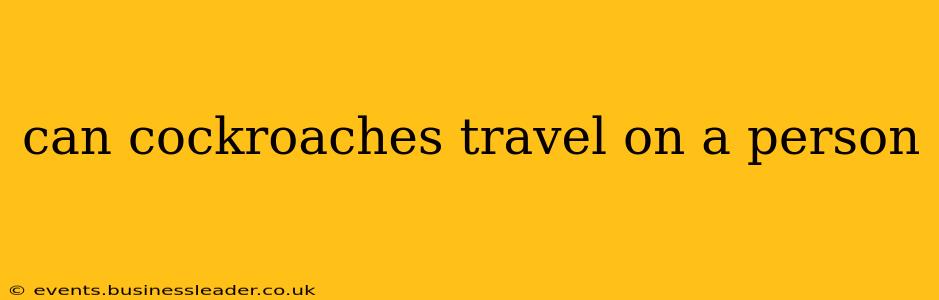 can cockroaches travel on a person
