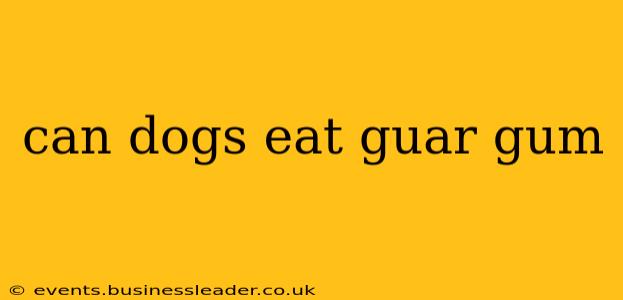 can dogs eat guar gum