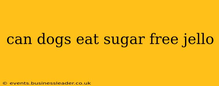 can dogs eat sugar free jello