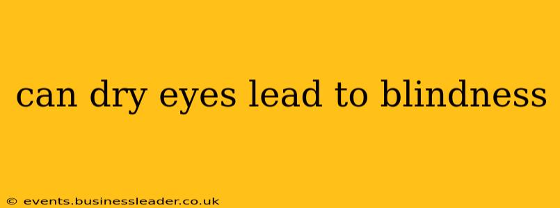 can dry eyes lead to blindness