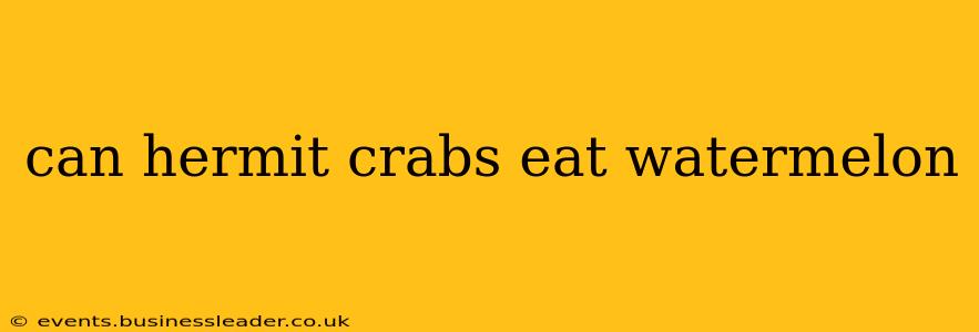 can hermit crabs eat watermelon