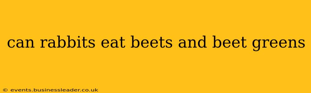 can rabbits eat beets and beet greens