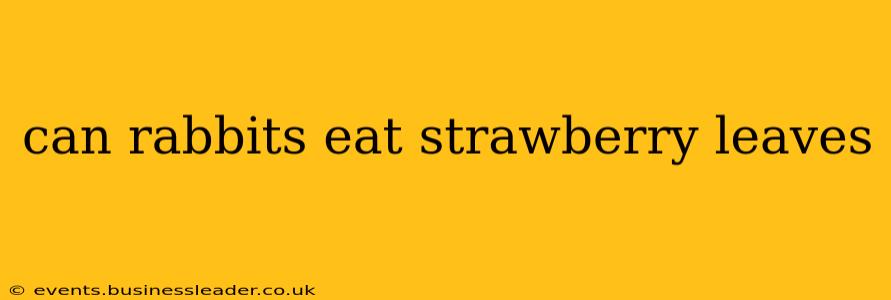 can rabbits eat strawberry leaves