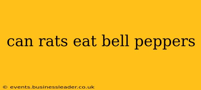 can rats eat bell peppers