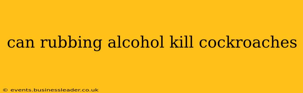 can rubbing alcohol kill cockroaches