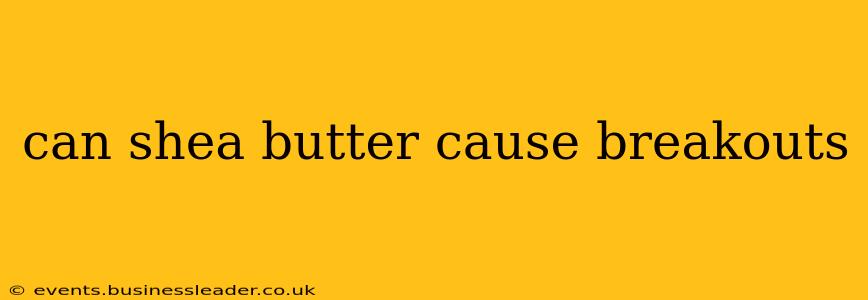 can shea butter cause breakouts