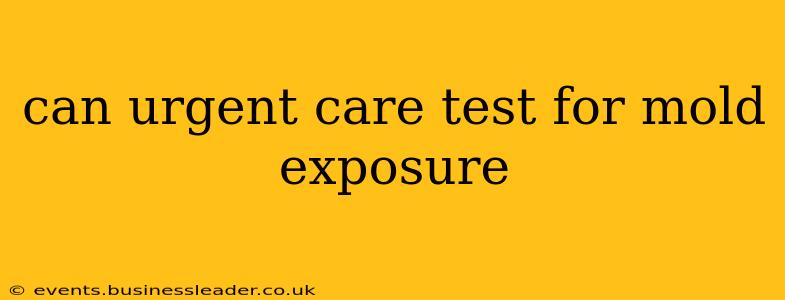 can urgent care test for mold exposure