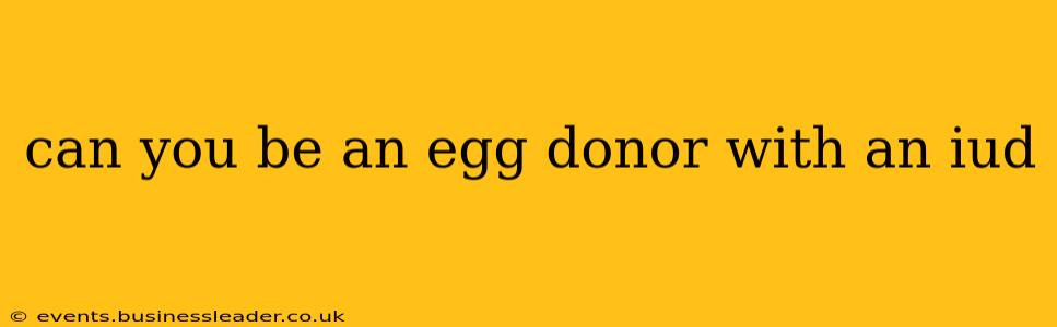 can you be an egg donor with an iud