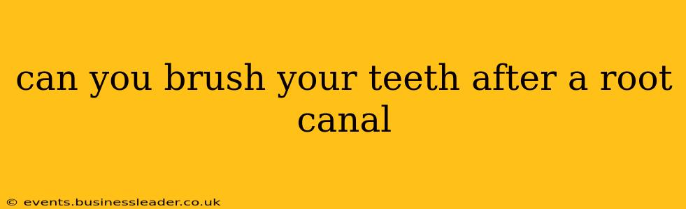 can you brush your teeth after a root canal