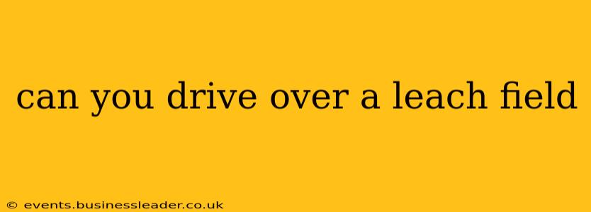 can you drive over a leach field