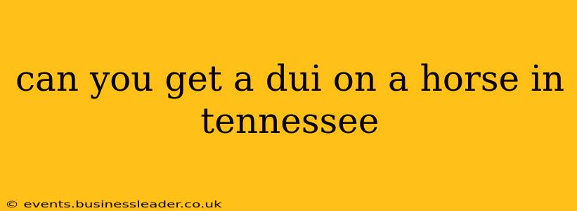 can you get a dui on a horse in tennessee