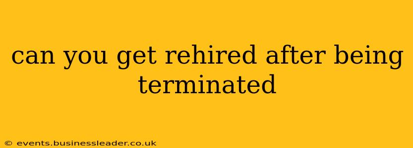 can you get rehired after being terminated