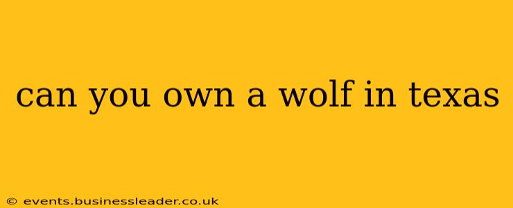 can you own a wolf in texas