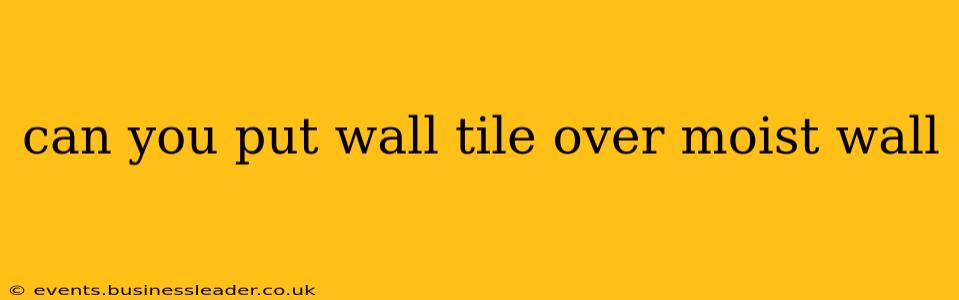 can you put wall tile over moist wall