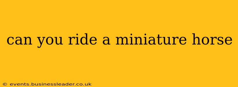 can you ride a miniature horse