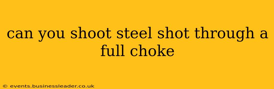 can you shoot steel shot through a full choke