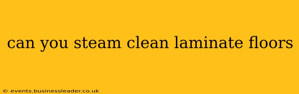 can you steam clean laminate floors