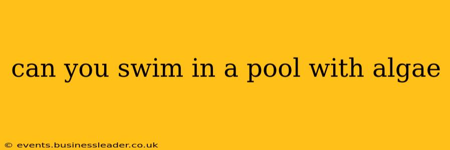 can you swim in a pool with algae