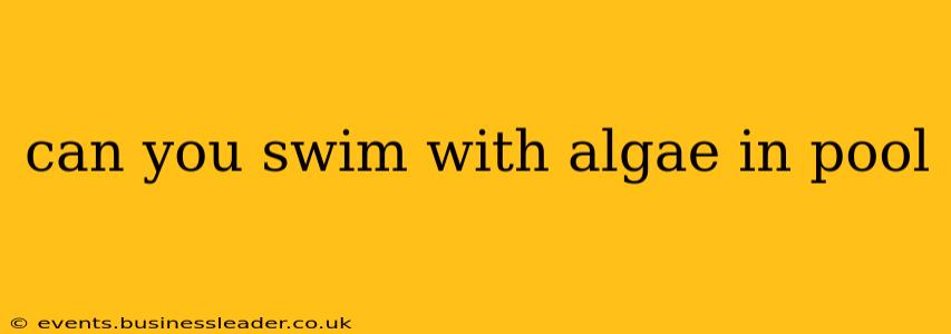 can you swim with algae in pool