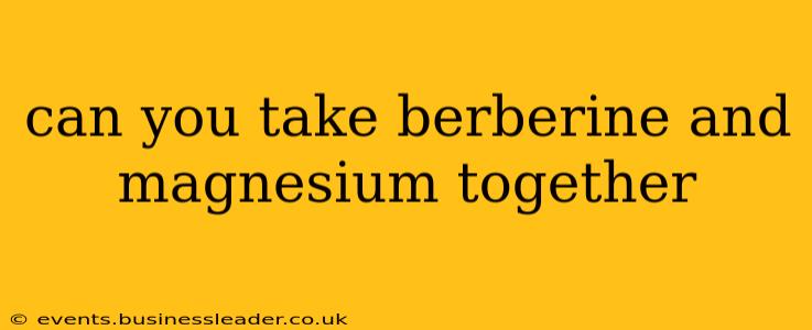 can you take berberine and magnesium together