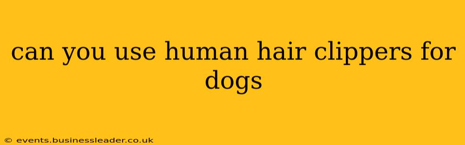 can you use human hair clippers for dogs