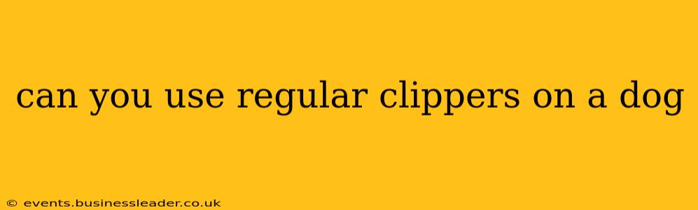 can you use regular clippers on a dog