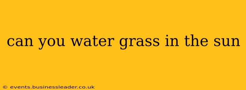 can you water grass in the sun