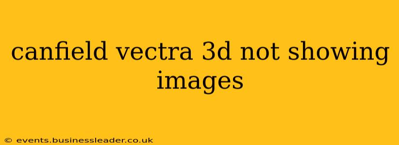 canfield vectra 3d not showing images