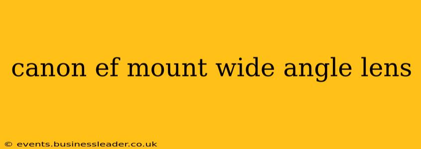 canon ef mount wide angle lens