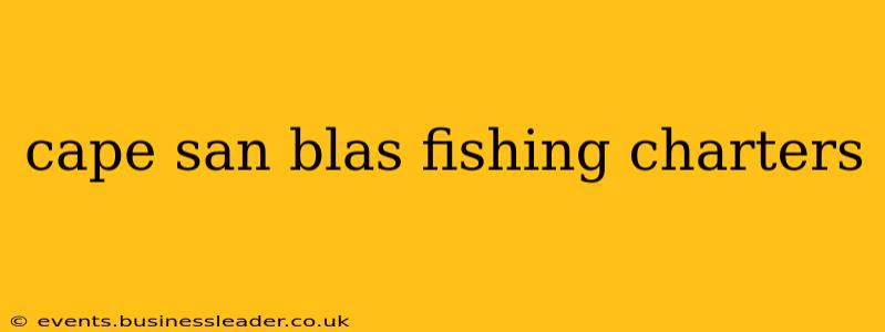 cape san blas fishing charters