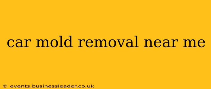 car mold removal near me