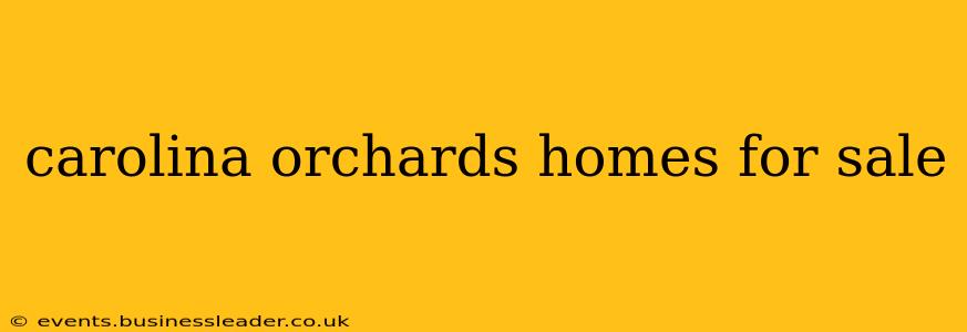 carolina orchards homes for sale
