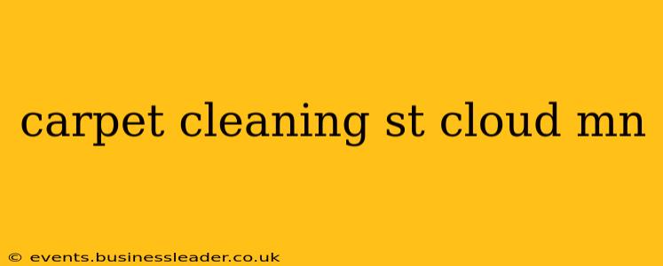 carpet cleaning st cloud mn