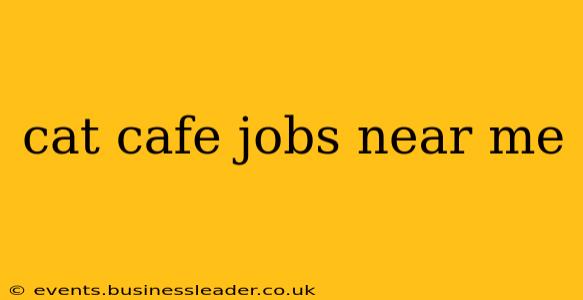 cat cafe jobs near me