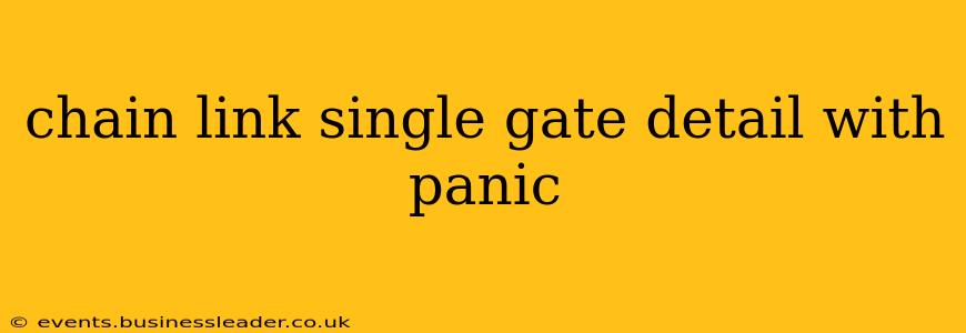 chain link single gate detail with panic