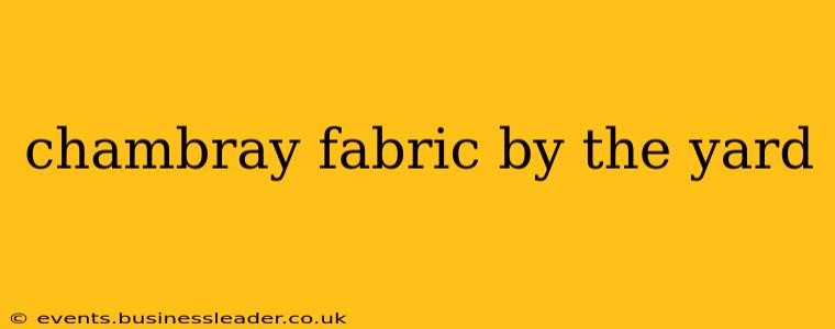 chambray fabric by the yard