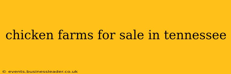 chicken farms for sale in tennessee