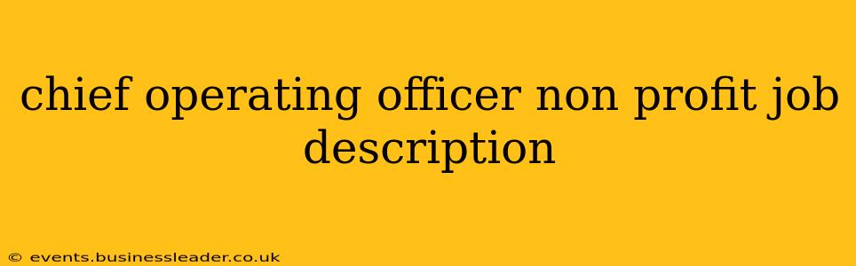 chief operating officer non profit job description