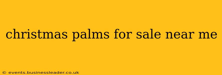 christmas palms for sale near me