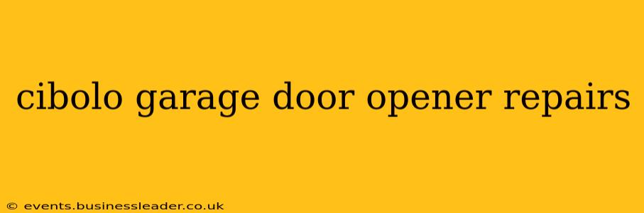 cibolo garage door opener repairs